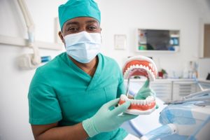 Dental professional in scrubs and a face mask holding a model of teeth